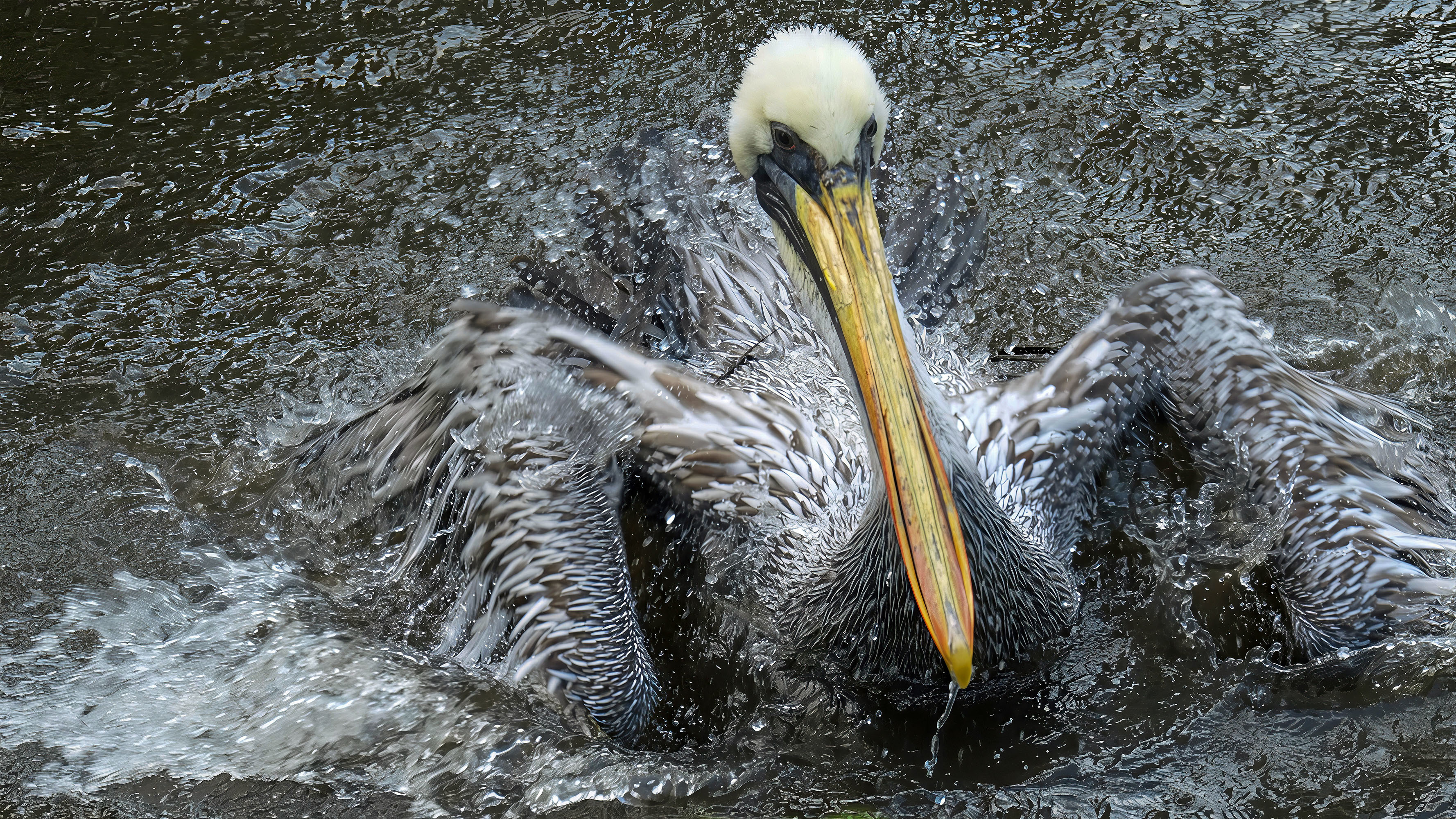 Christine Claußen | Mächtig in Fahrt | 2014 | Fotografie | 60 x 90 cm | © Christine Claußen
