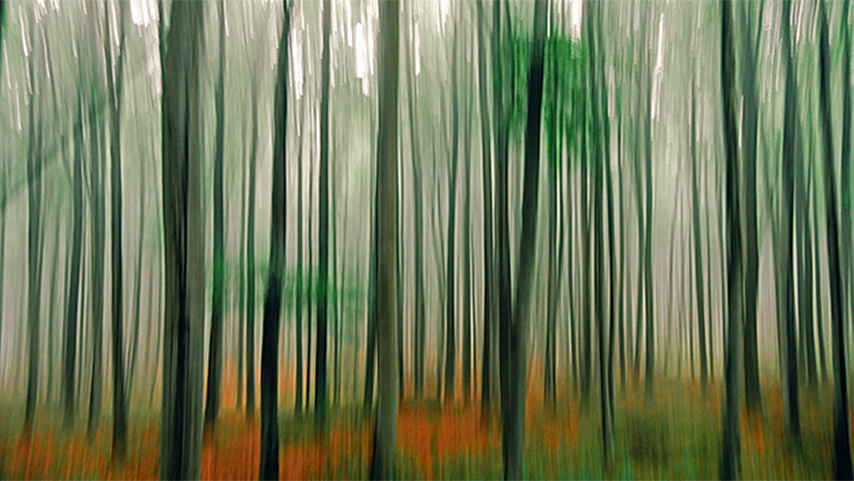 Helena Kolar | Erde | Fotografie | 50 x 75 cm  | © Helena Kolar